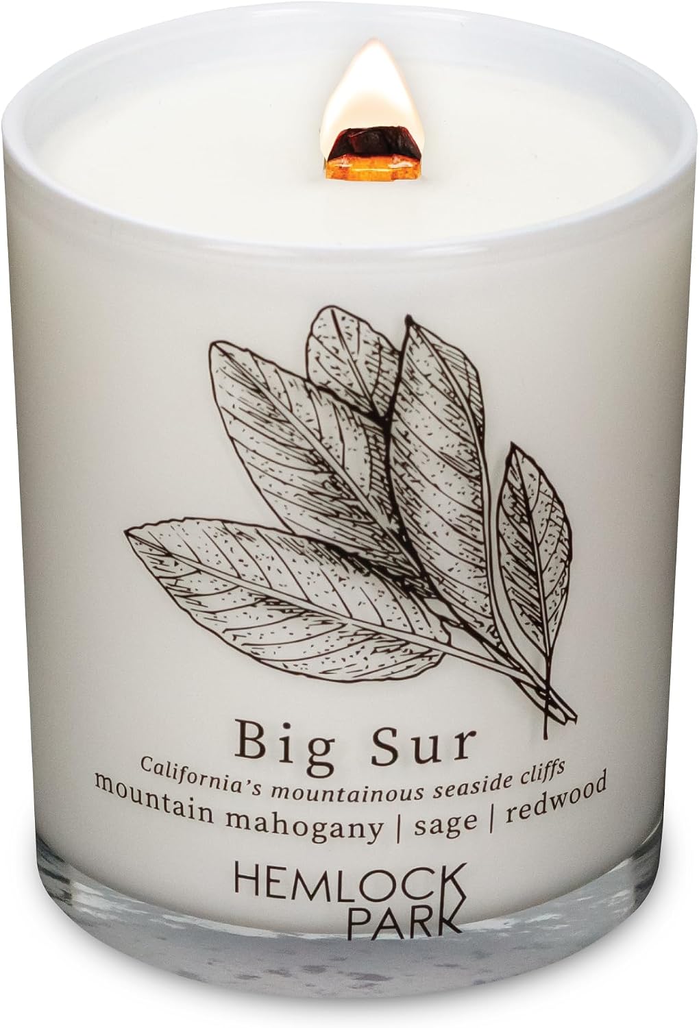 Hemlock Park Big Sur Postcards Scented Candle
